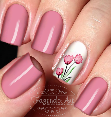 Tulipa 02