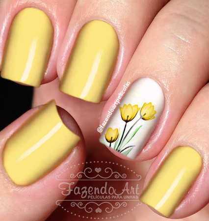 Tulipa 01